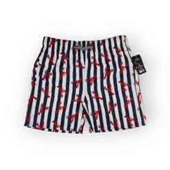 Men's Swim Shorts (10248-A21)